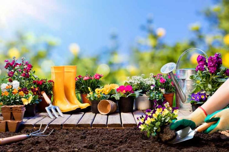Turn Your Brown Thumb Green